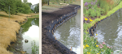 shoreline restoration