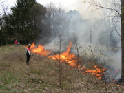 prescribed burn