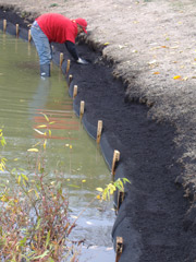 shoreline restoration
