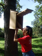 wood duck house