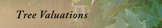 Tree Valuations
