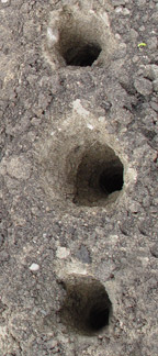 root zone aeration