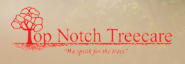 Tree Care Services